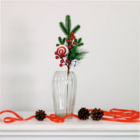 Xmas Pic No:57