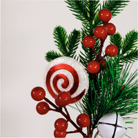 Xmas Pic No:57