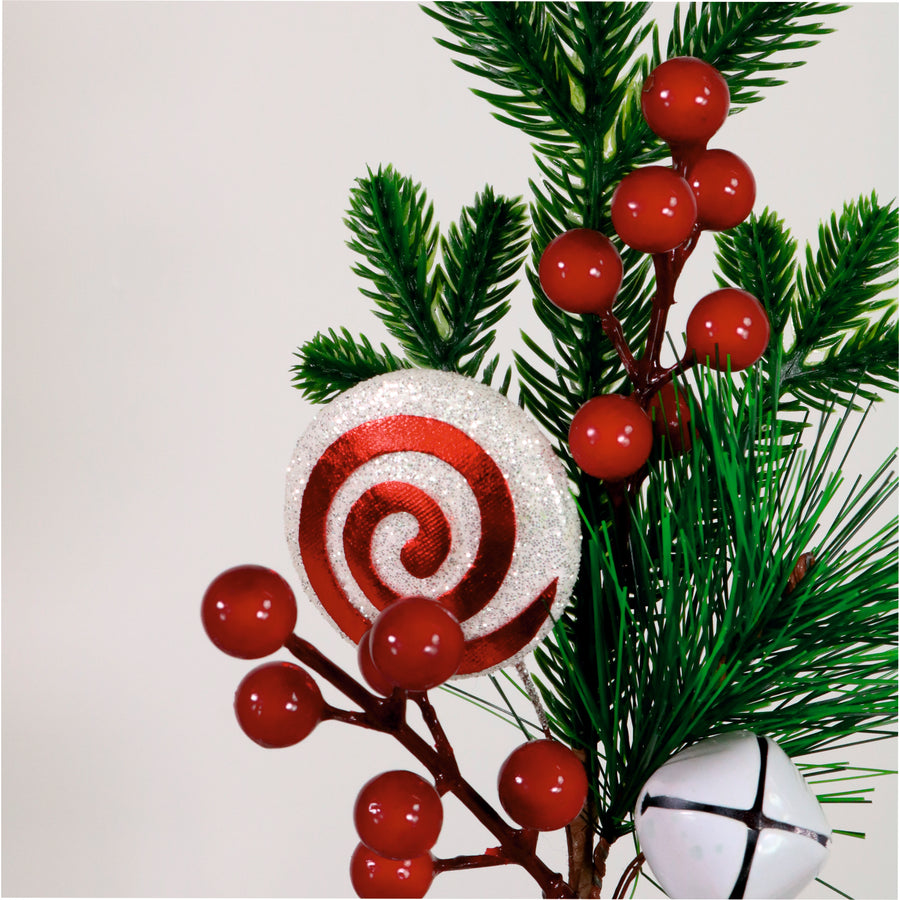 Xmas Pic No:57