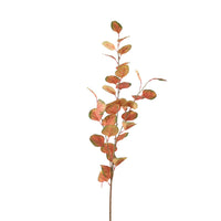 Silver Dollar Eucalyptus Stem (small)