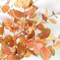 Silver Dollar Eucalyptus Stem (small)