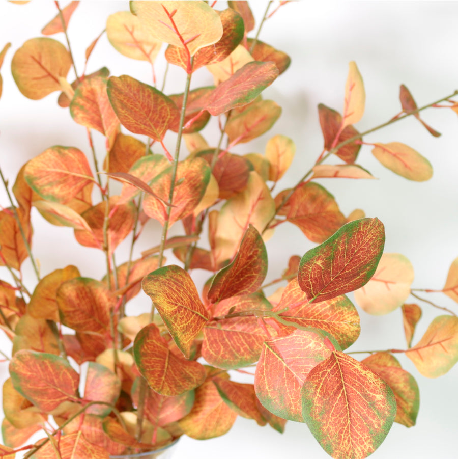 Silver Dollar Eucalyptus Stem (small)