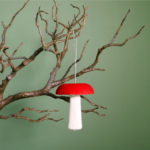 Velvet Hanging Mushroom