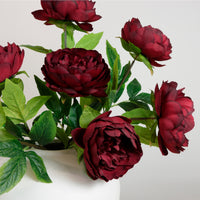 Audrey Peony