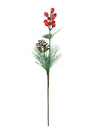 Xmas Yuletide Cone Berry Pic