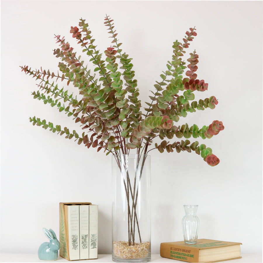 Autumn Eucalyptus