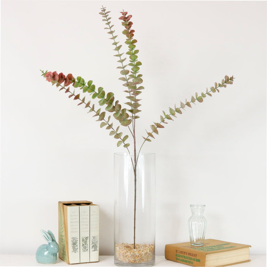 Autumn Eucalyptus