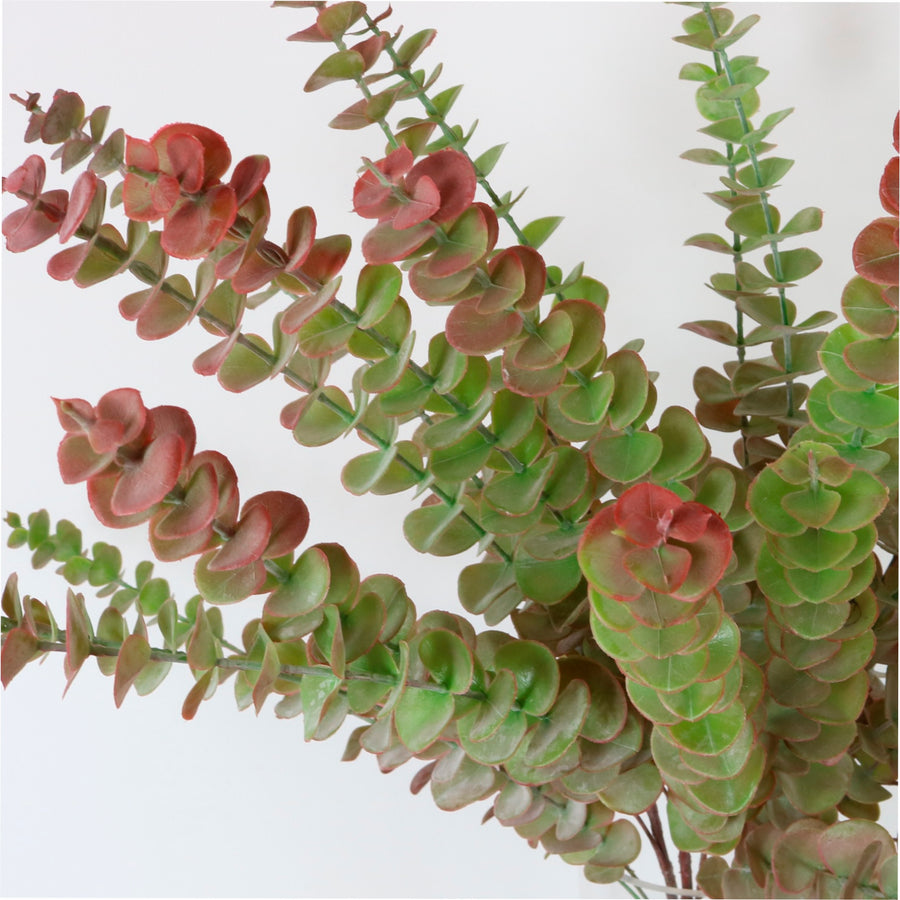 Autumn Eucalyptus