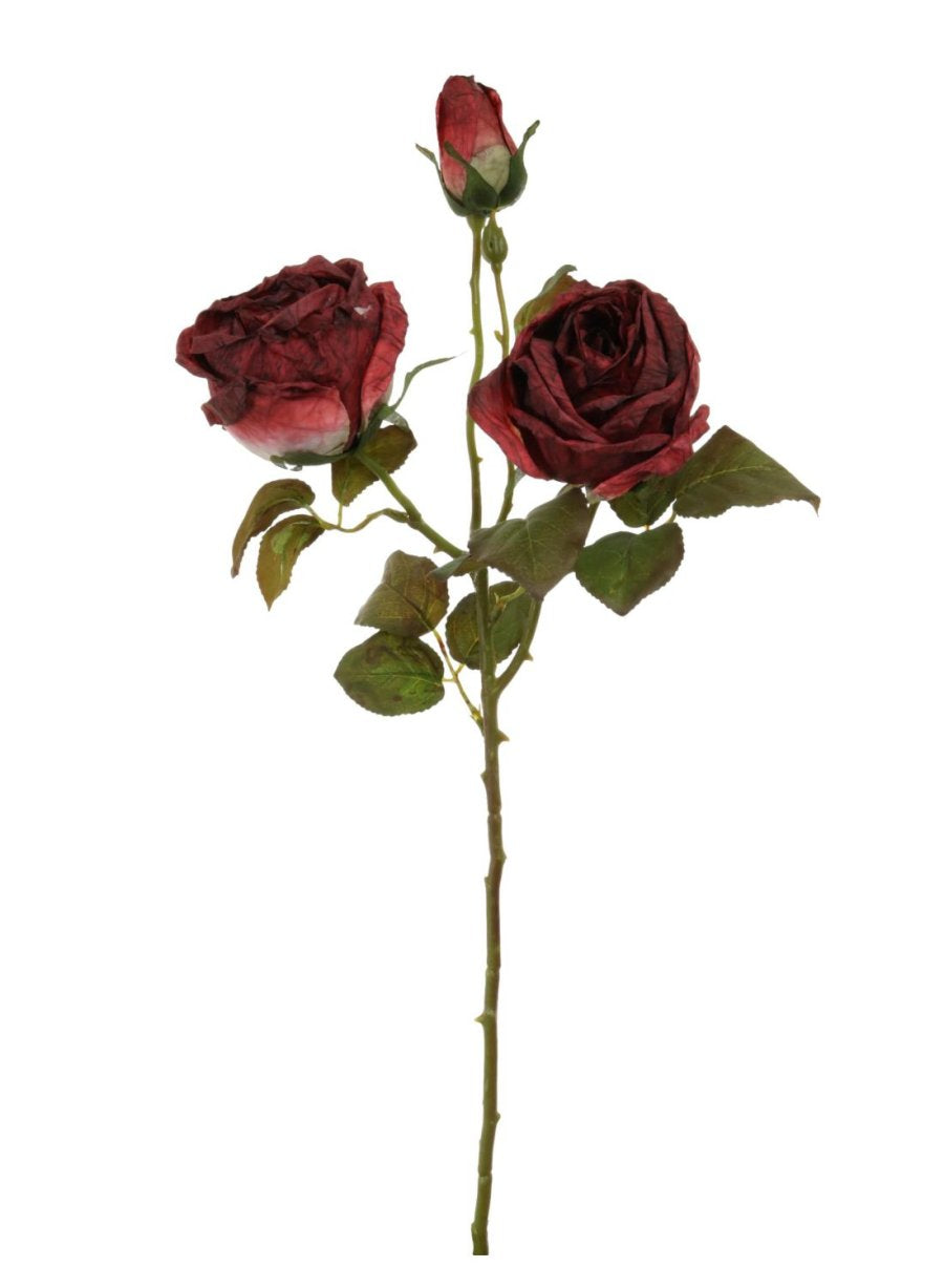 Dried Touch Valera Rose Spray