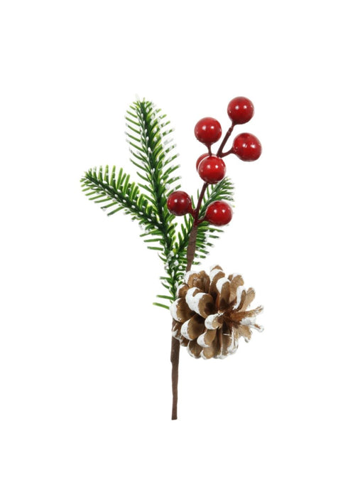 Xmas Pic No:01