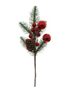 Xmas Pic No:04