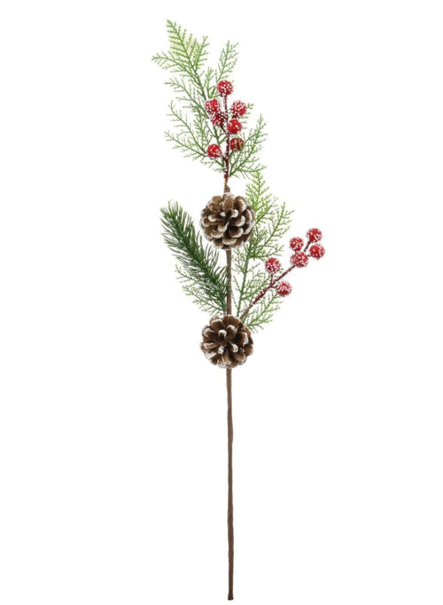 Xmas Pic No:18