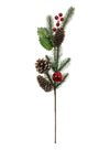 Xmas Pic No:19