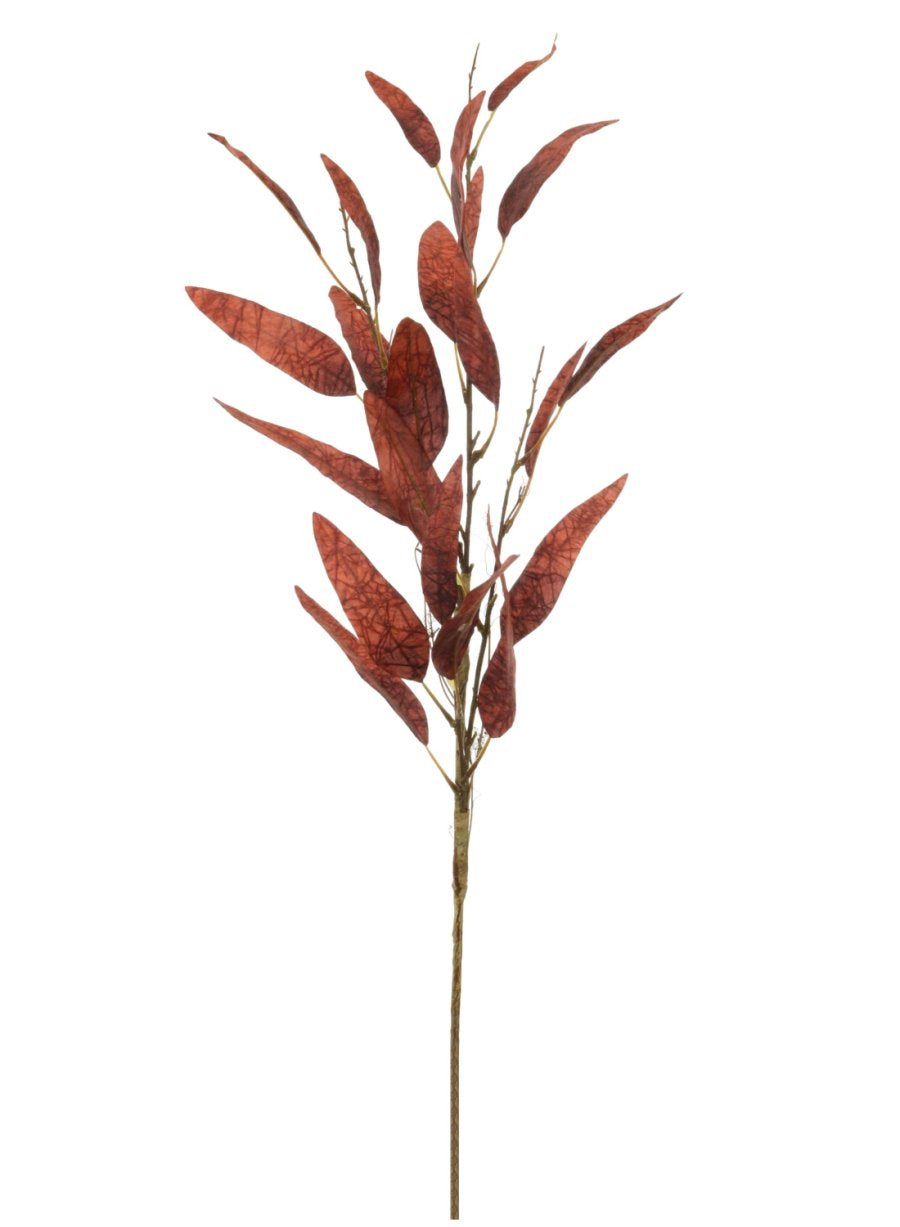 Dried Touch Slim Leaf Branch