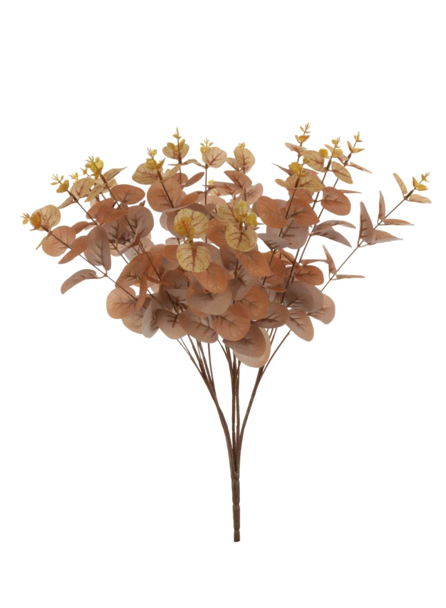 Eucalyptus Bunch (Short Stem)