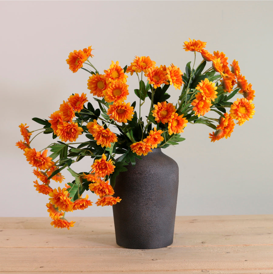 Gerbera Daisy Spray