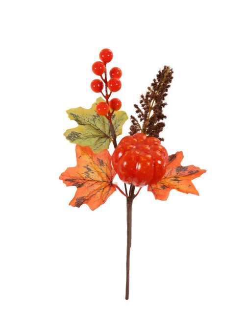 Autumn Pic No: 48