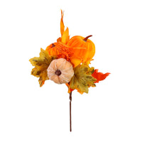 Autumn Pic No: 49