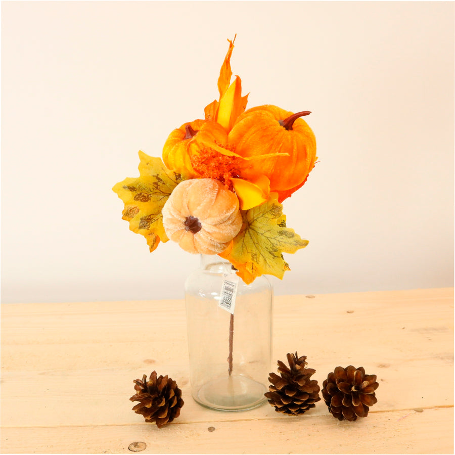 Autumn Pic No: 49