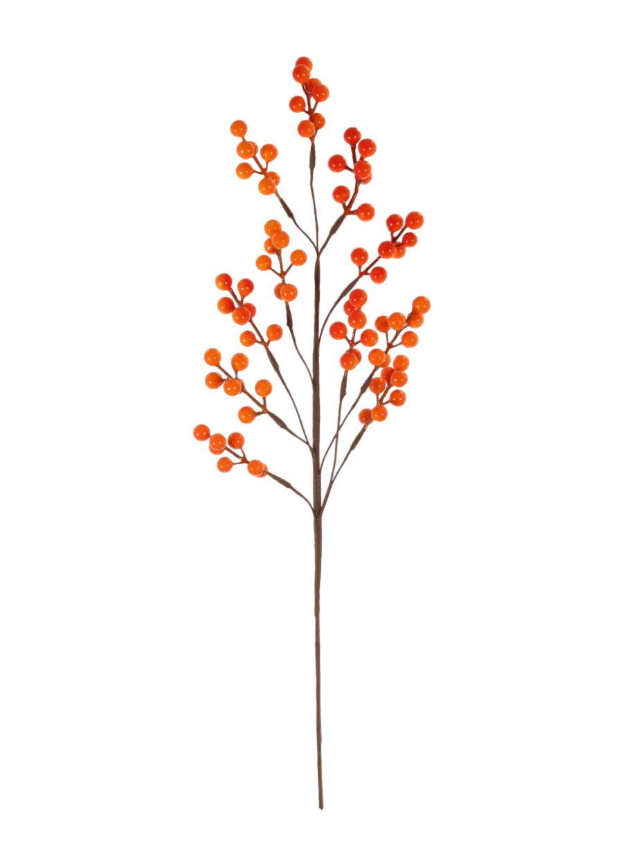 Autumn Pic No: 51