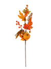 Autumn Pic No: 55