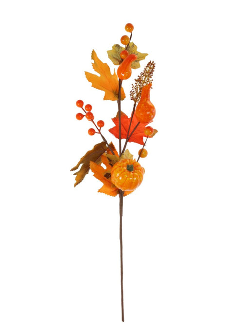 Autumn Pic No: 55