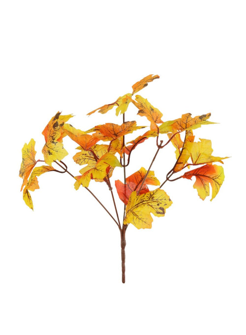 Autumn Pic No: 59