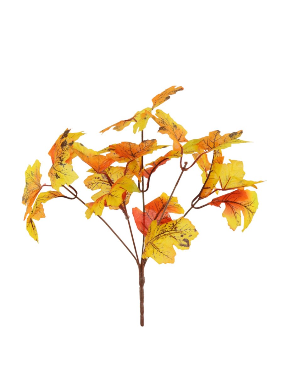 Autumn Pic No: 59