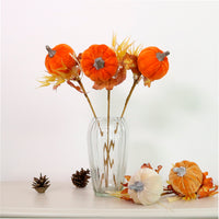 Autumn Wild Velvet Pumpkin (medium)