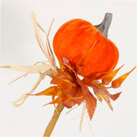 Autumn Wild Velvet Pumpkin (medium)