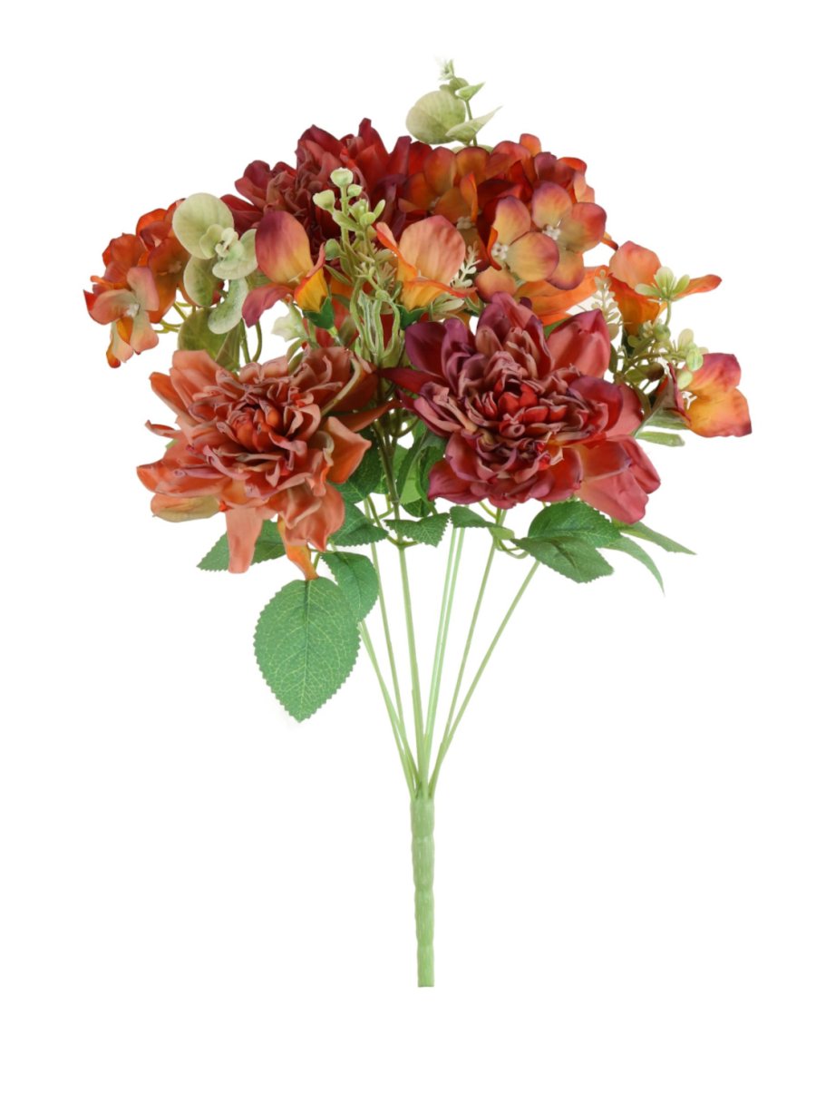 Dried Touch Eliza Bunch