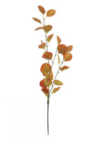 Silver Dollar Eucalyptus Stem (small)