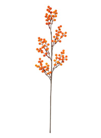 Ball Berry Pic