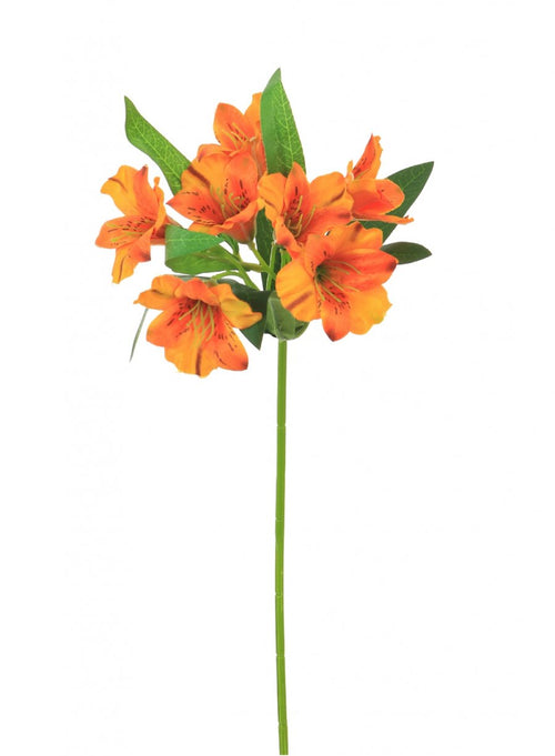 Alstroemeria (small)