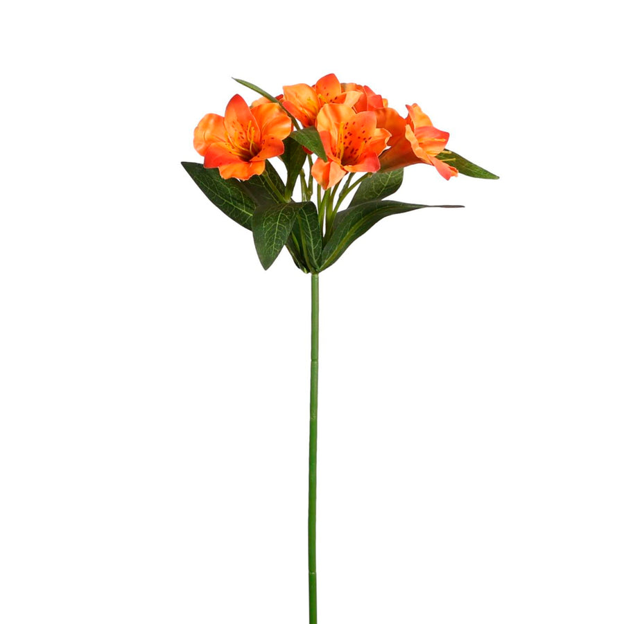 Alstroemeria (small)