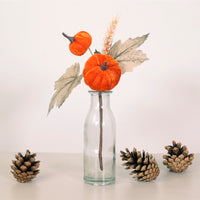 Autumn Pic No: 61