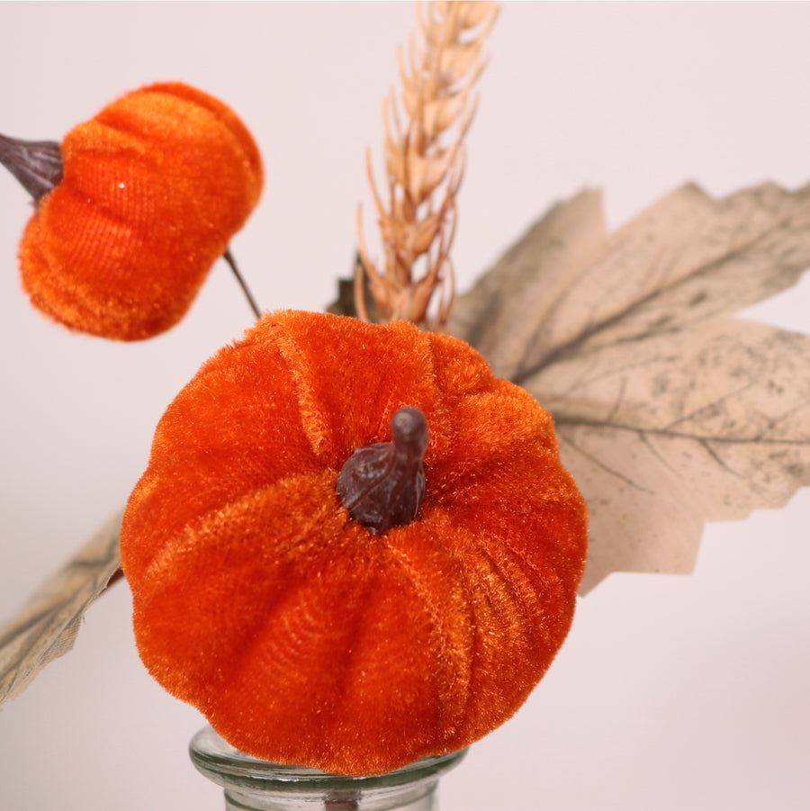Autumn Pic No: 61