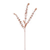 Dusted Eucalyptus Stem