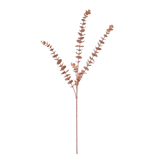 Dusted Eucalyptus Stem