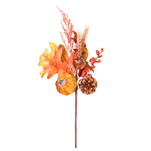 Autumn Pic No: 62