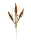 Dried Reed Wheat Spray