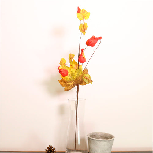Autumn Pic No: 30