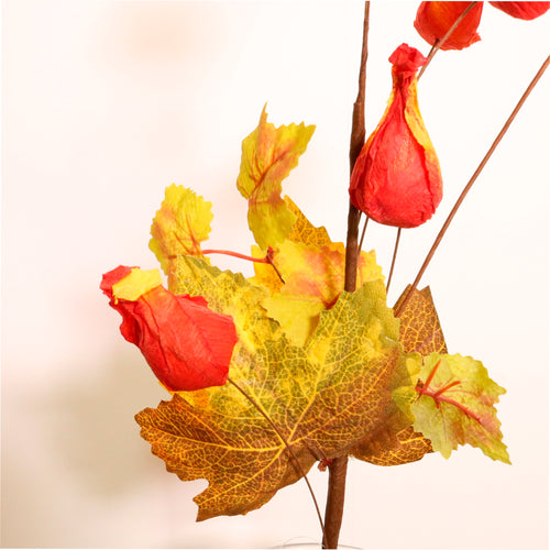 Autumn Pic No: 30
