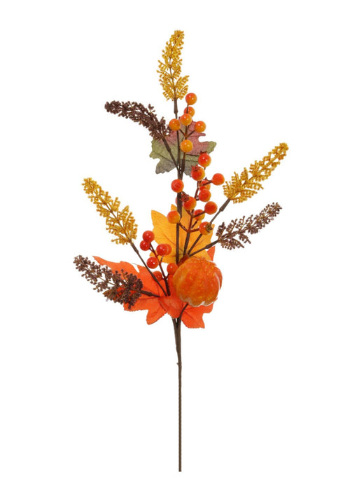 Autumn Pic No:40