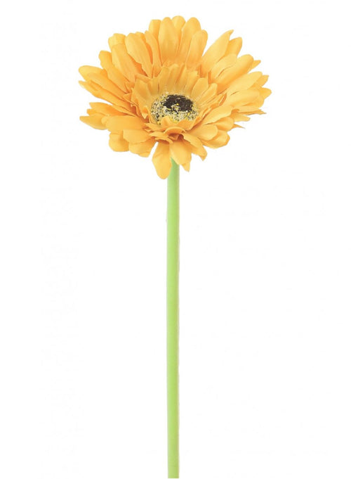 Small Gerbera Stem