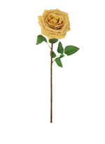 Marie Rose (short Stem)