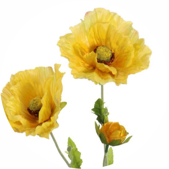 Country Poppy