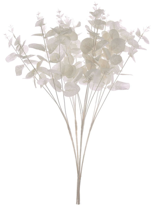 Eucalyptus Bunch (Long Stem)