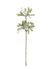 Long Stem Sparkle Berry Pic