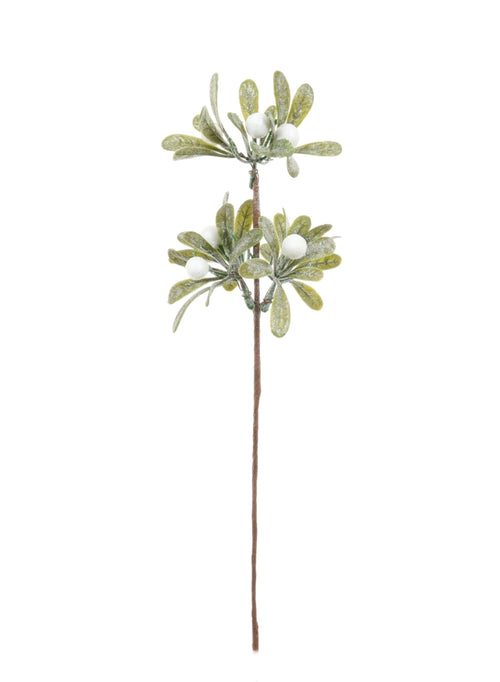 Long Stem Sparkle Berry Pic
